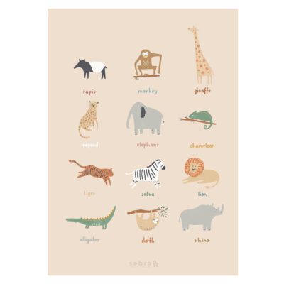 Sebra / Poster / Wildlife
