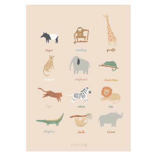 Sebra / Poster / Wildlife