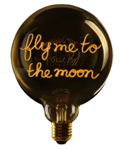 fly me to the moon