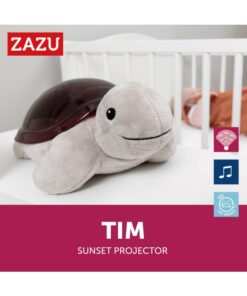 Sunset Projector -Tim Turtle